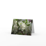 Sunlit White Azaleas Beautiful Spring Flowers Note Card