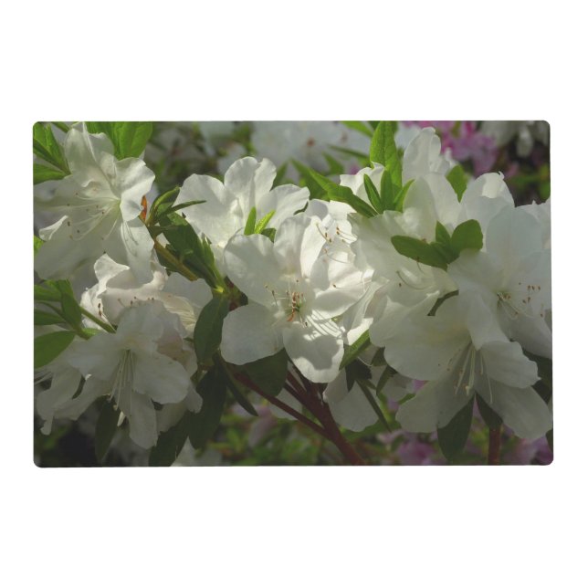 Sunlit White Azaleas Beautiful Spring Flowers Placemat (Front)