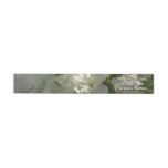 Sunlit White Azaleas Beautiful Spring Flowers Wrap Around Label
