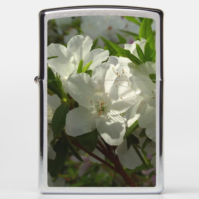 Sunlit White Azaleas Beautiful Spring Flowers Zippo Lighter (Front)