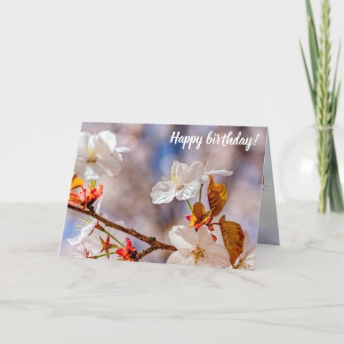 Sunlit White Sakura Flower And Orange Leaves Card