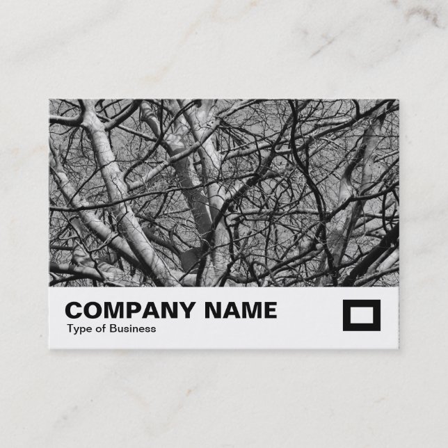 Sunlit Winter Branches (B&W) Business Card (Front)