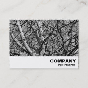 Sunlit Winter Branches (B&W) Business Card