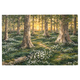 Sunlit Woodland Wildflower Forest Metal Print