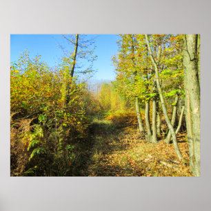 Sunlit Woods in Autumn - Personalized Poster