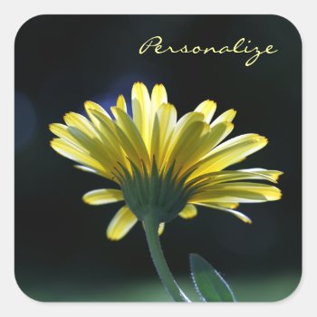 Sunlit Yellow Daisy With Name Square Sticker by PhotographyTKDesigns at Zazzle