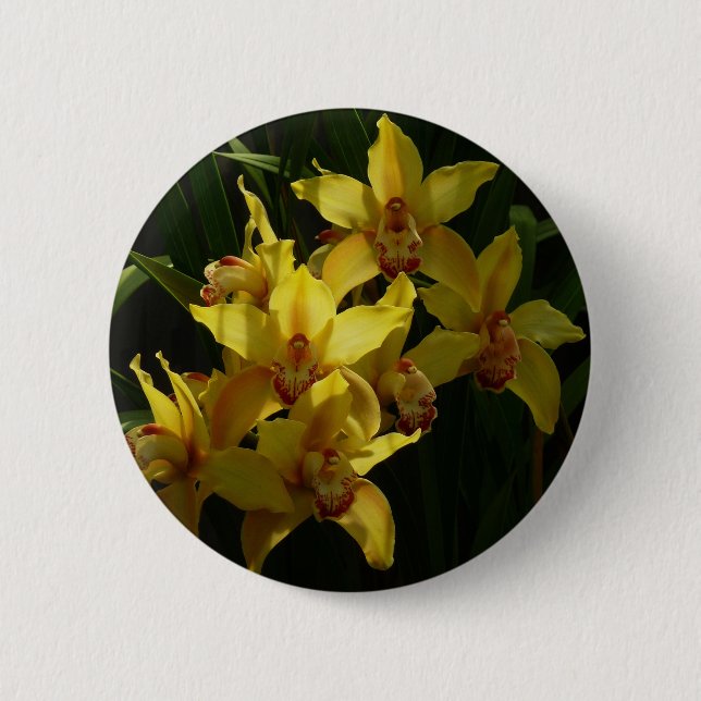 Sunlit Yellow Orchids Floral Button (Front)