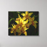 Sunlit Yellow Orchids Floral Canvas Print