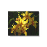 Sunlit Yellow Orchids Floral Canvas Print