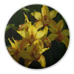 Sunlit Yellow Orchids Floral Ceramic Knob
