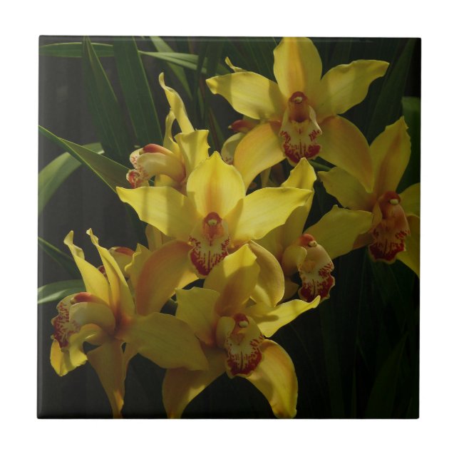 Sunlit Yellow Orchids Floral Ceramic Tile (Front)