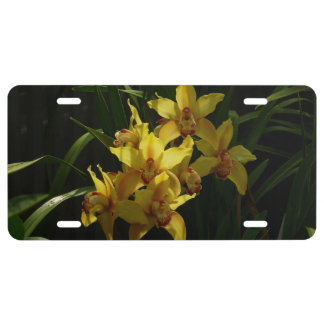Sunlit Yellow Orchids Floral License Plate