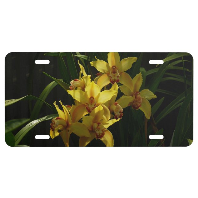 Sunlit Yellow Orchids Floral License Plate (Front)