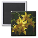 Sunlit Yellow Orchids Floral Magnet