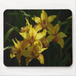 Sunlit Yellow Orchids Floral Mouse Pad