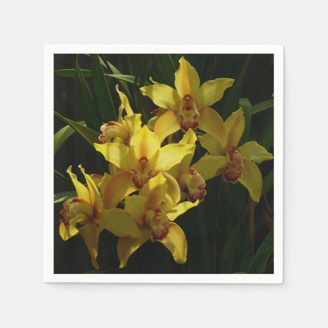 Sunlit Yellow Orchids Floral Napkins (Front)
