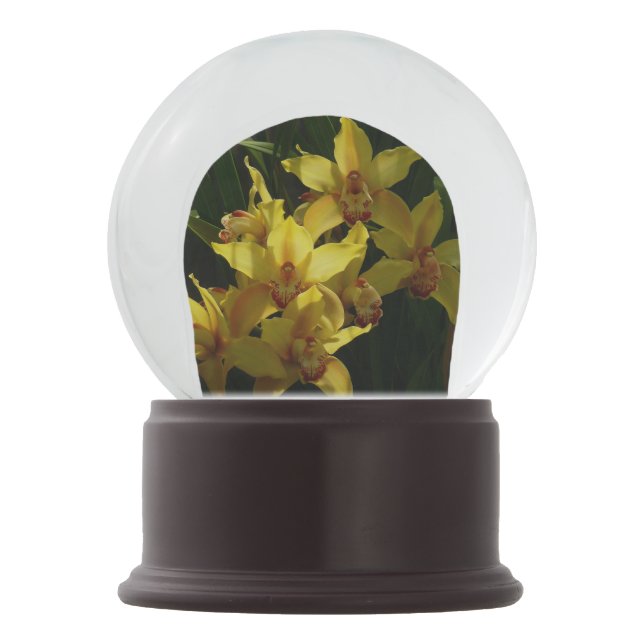 Sunlit Yellow Orchids Floral Snow Globe (Back)