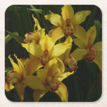Sunlit Yellow Orchids Floral Square Paper Coaster