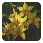 Sunlit Yellow Orchids Floral Square Sticker