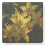 Sunlit Yellow Orchids Floral Stone Coaster