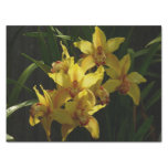 Sunlit Yellow Orchids Floral Tissue Paper