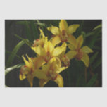 Sunlit Yellow Orchids Floral Tissue Paper