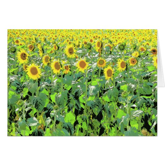 Sunnies Cards (Front Horizontal)