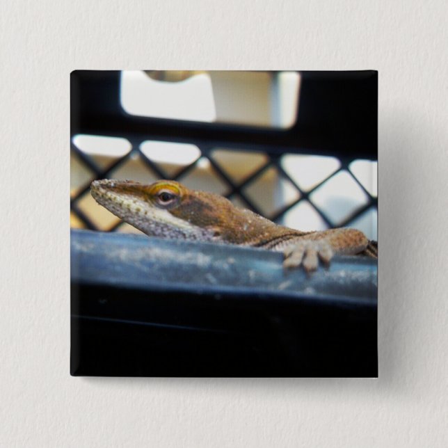 Sunning Green Anole Lizard Photo Pinback Button (Front)