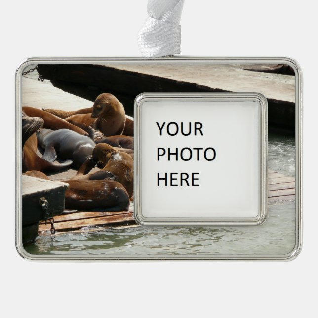 Sunning Sea Lions in San Francisco Christmas Ornament (Front)
