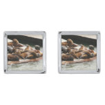 Sunning Sea Lions in San Francisco Cufflinks