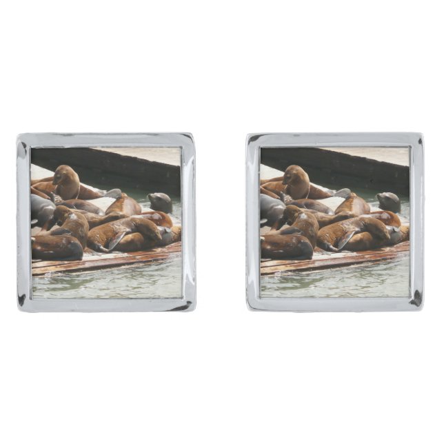 Sunning Sea Lions in San Francisco Cufflinks (Front)