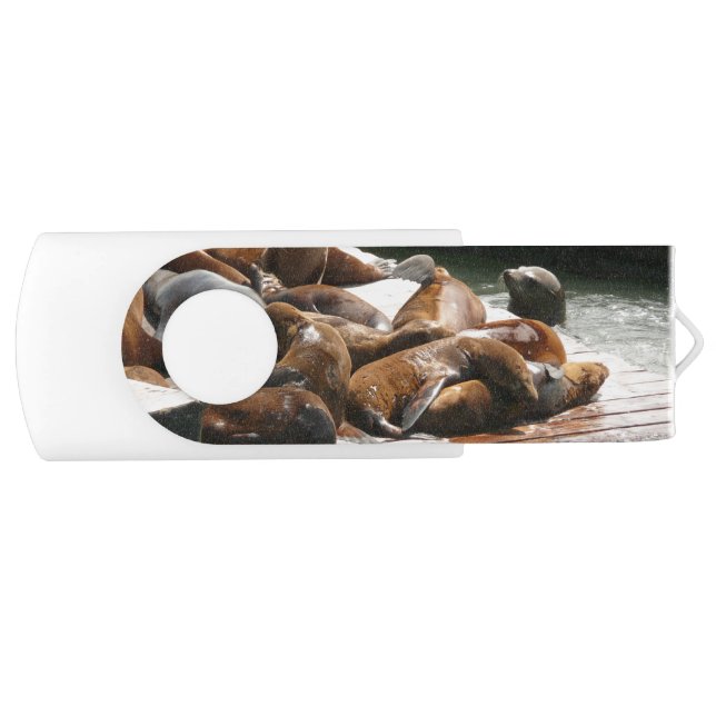 Sunning Sea Lions in San Francisco Flash Drive (Front)