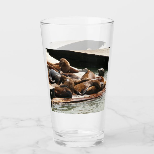 Sunning Sea Lions in San Francisco Glass (Front)