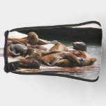 Sunning Sea Lions in San Francisco Golf Head Cover