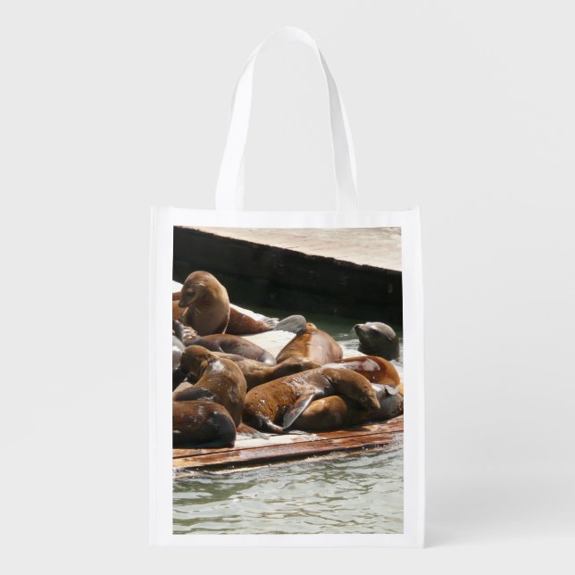 Sunning Sea Lions in San Francisco Grocery Bag (Front)