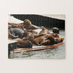 Sunning Sea Lions in San Francisco Jigsaw Puzzle