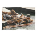 Sunning Sea Lions in San Francisco Kitchen Towel