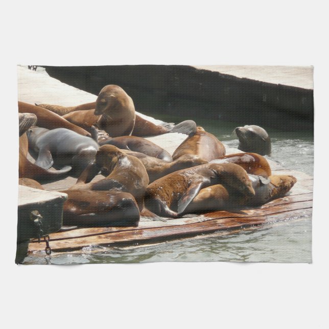 Sunning Sea Lions in San Francisco Kitchen Towel (Horizontal)