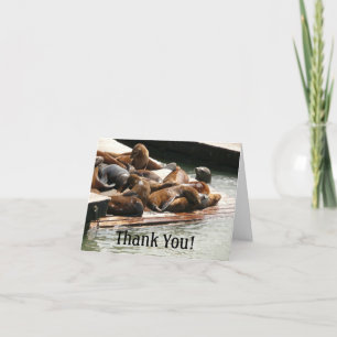 Sunning Sea Lions in San Francisco Letterpress Thank You Card