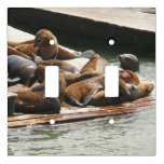 Sunning Sea Lions in San Francisco Light Switch Cover