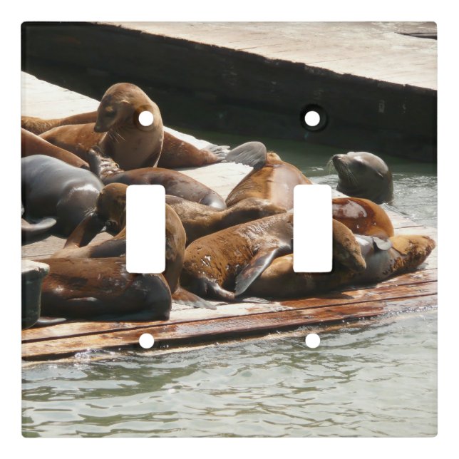 Sunning Sea Lions in San Francisco Light Switch Cover (Front)