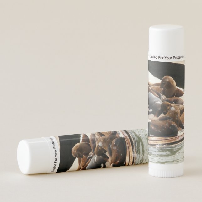 Sunning Sea Lions in San Francisco Lip Balm (Front)
