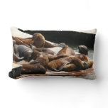 Sunning Sea Lions in San Francisco Lumbar Pillow