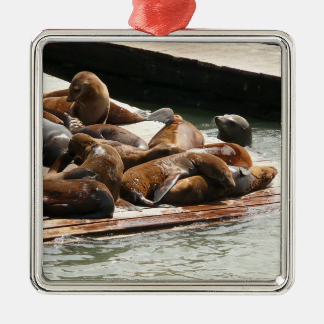 Sunning Sea Lions in San Francisco Metal Ornament (Front)