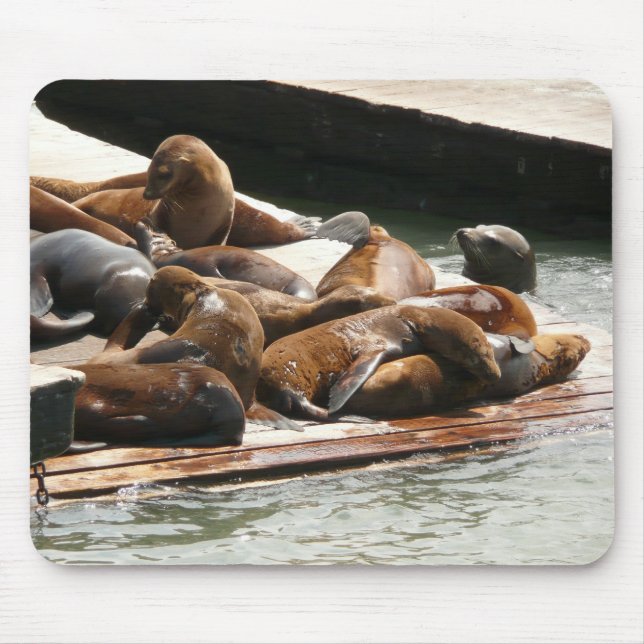 Sunning Sea Lions in San Francisco Mouse Pad (Front)