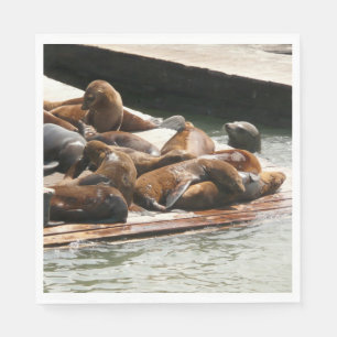 Sunning Sea Lions in San Francisco Napkins