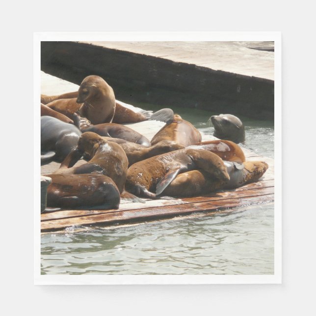 Sunning Sea Lions in San Francisco Napkins (Front)