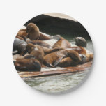 Sunning Sea Lions in San Francisco Paper Plates