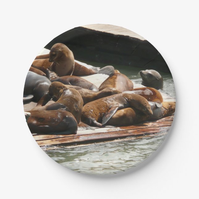 Sunning Sea Lions in San Francisco Paper Plates (Front)
