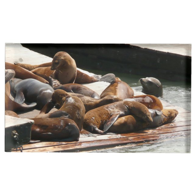 Sunning Sea Lions in San Francisco Place Card Holder (Front)
